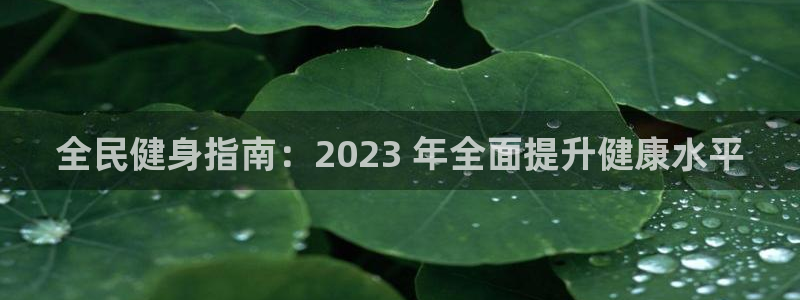 尊龙凯时公司官网：全民健身指南：2023 年全面提升健康